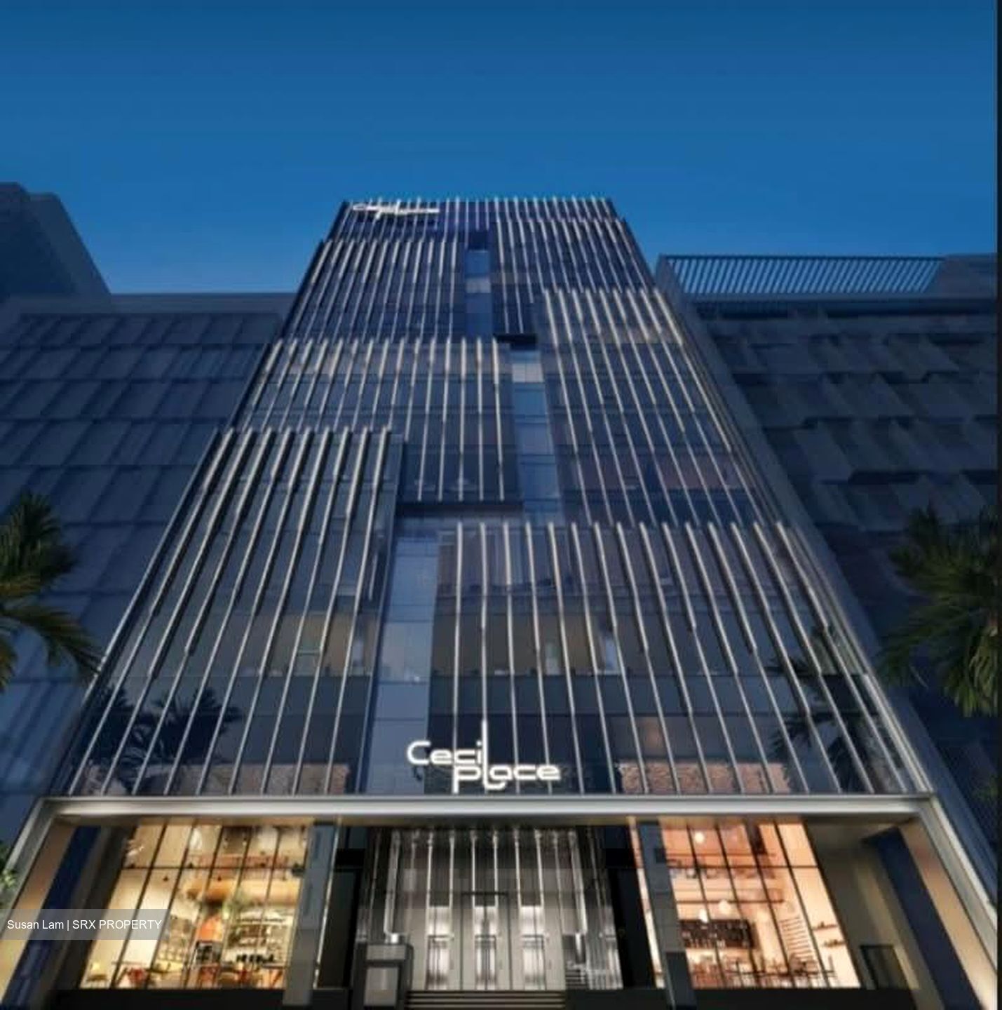 Cecil Suites (D1), Office #527729671